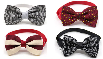 colorful pet bow tie