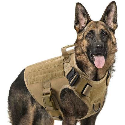 outdoor dog gear