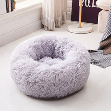 coral velvet dog bed