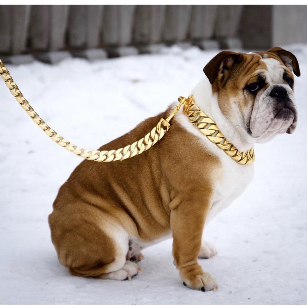 heavy duty dog leash
