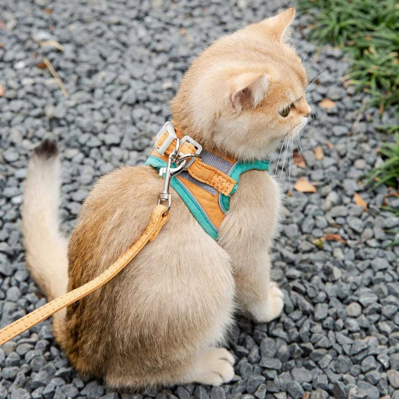 step-in cat harness