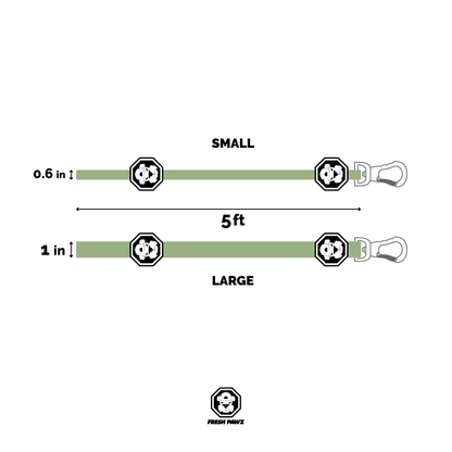 premium dog leash for large breeds