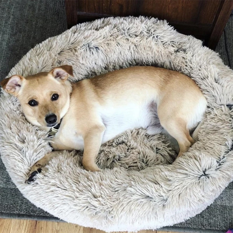 luxury dog bed for pets