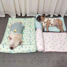 cooling dog bed