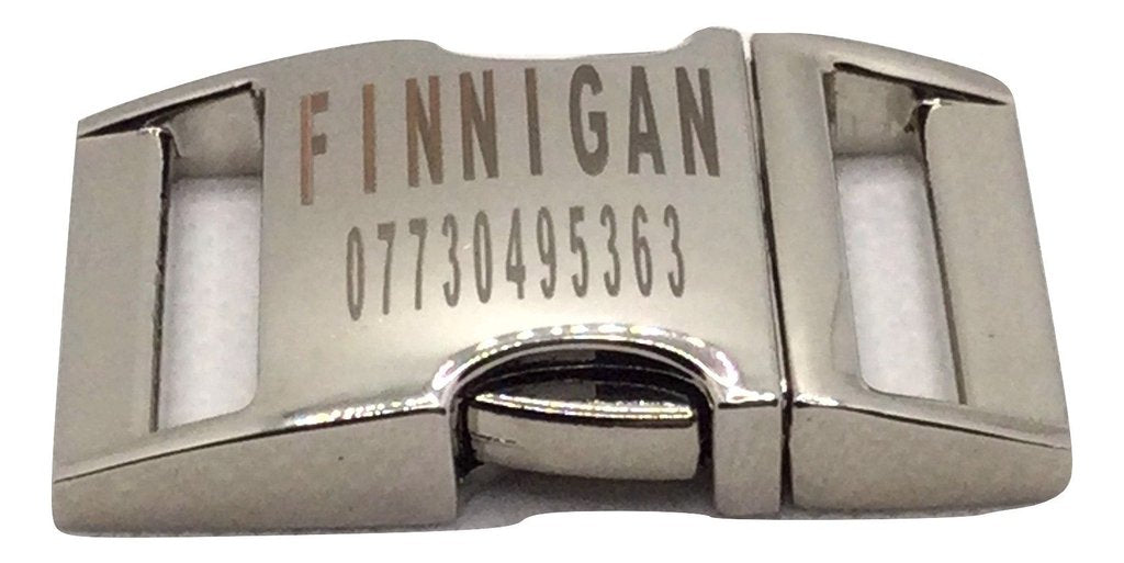 Durable dog collar with metal buckle