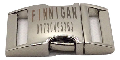 Durable dog collar with metal buckle